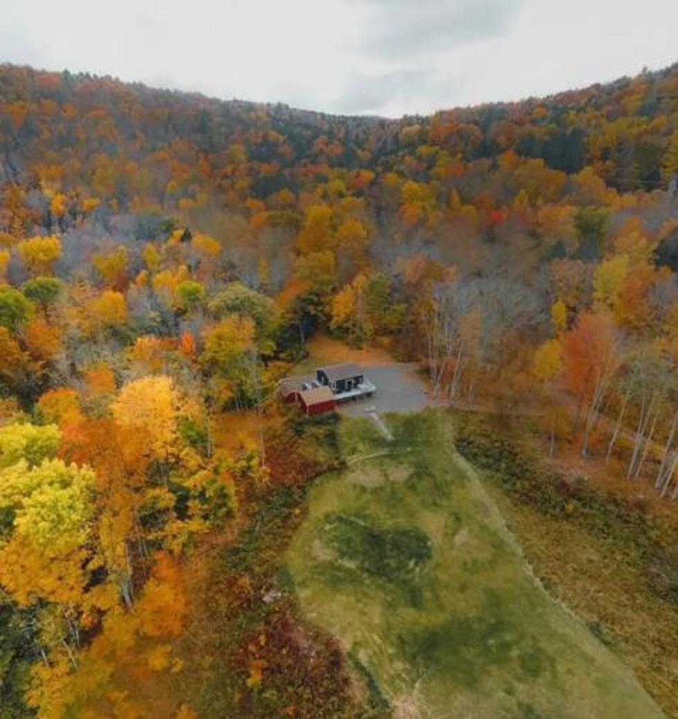 New York's Best Airbnb's for Leaf-Peeping Season!