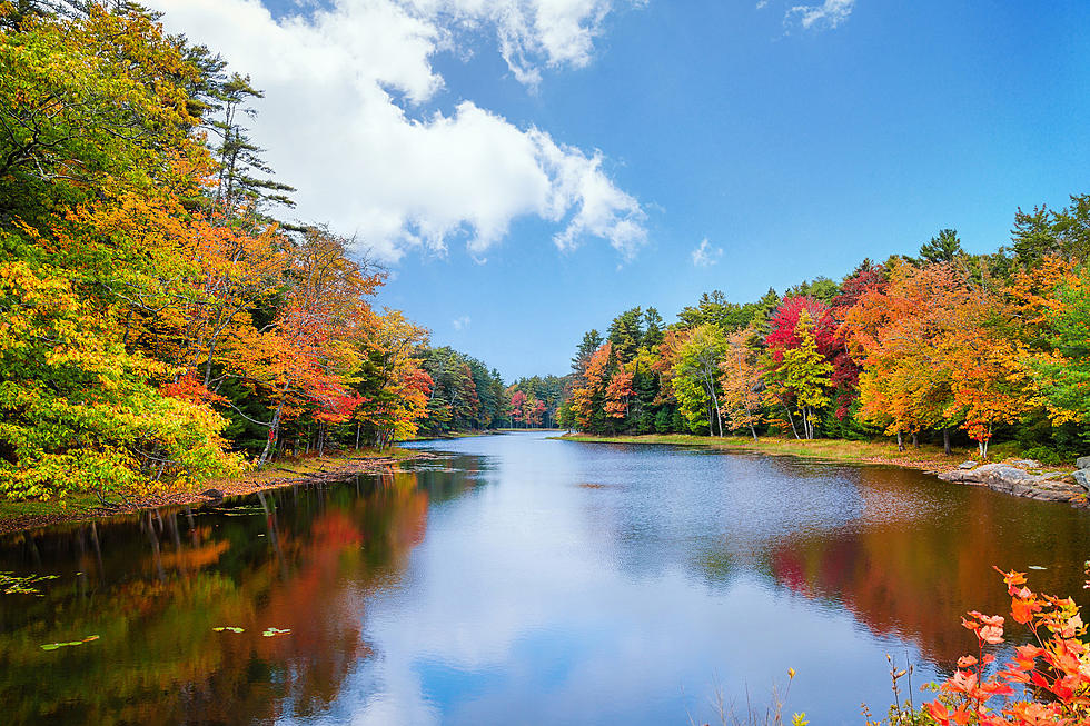 When to Expect Stunning Fall Foliage Around New York State