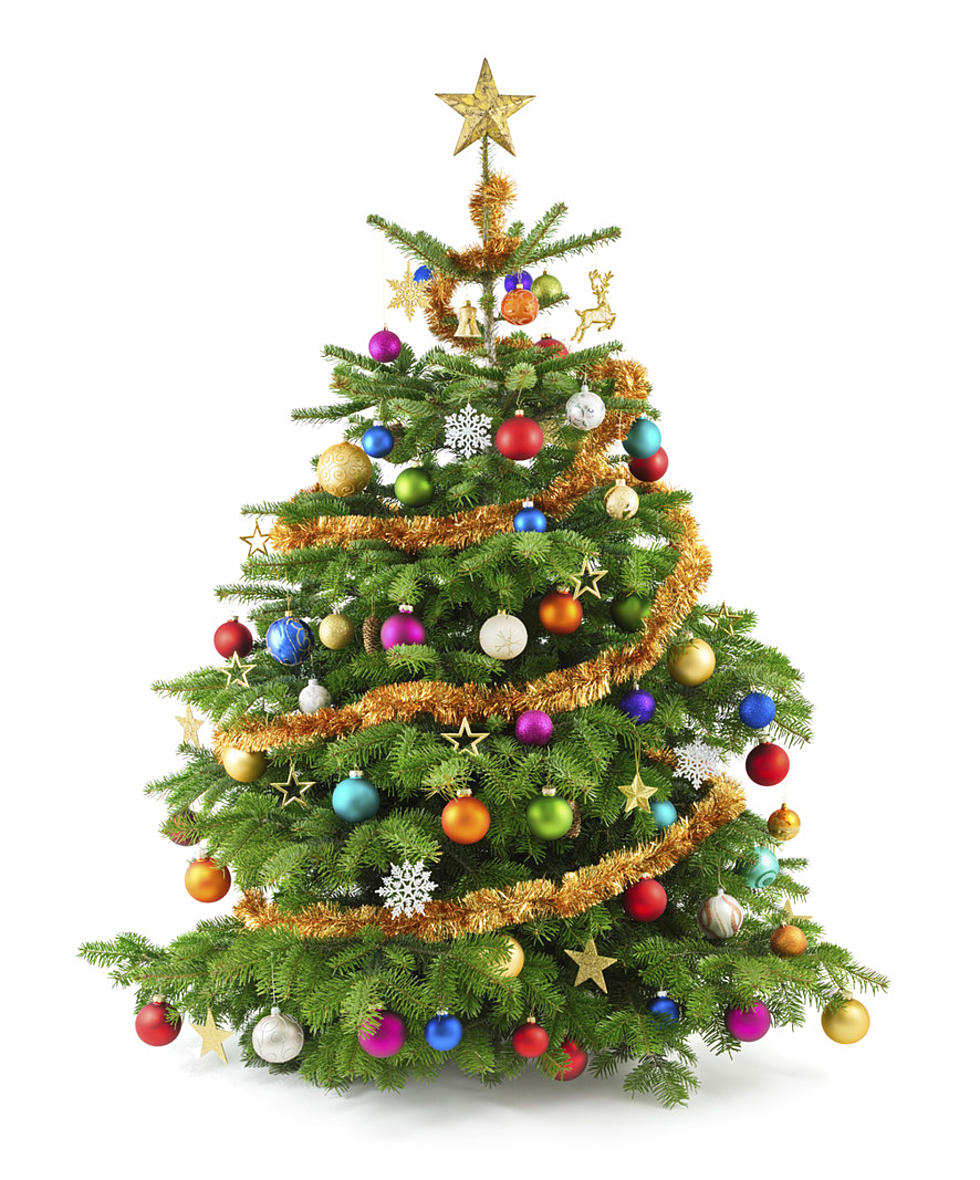 Ways To Recycle Your Christmas Tree In The Binghamton New York Area