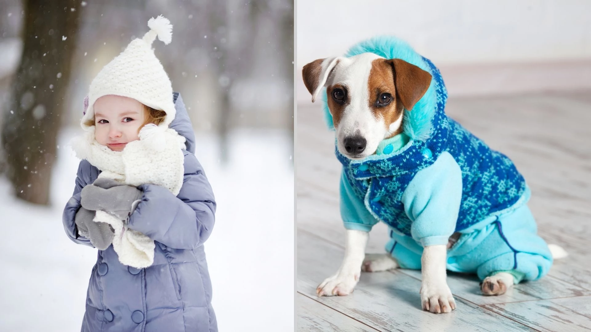 99.1 The Whale Staff - The Whale 99.1 FM