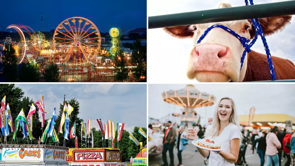 New York Is In The Top Five For Best State Fairs