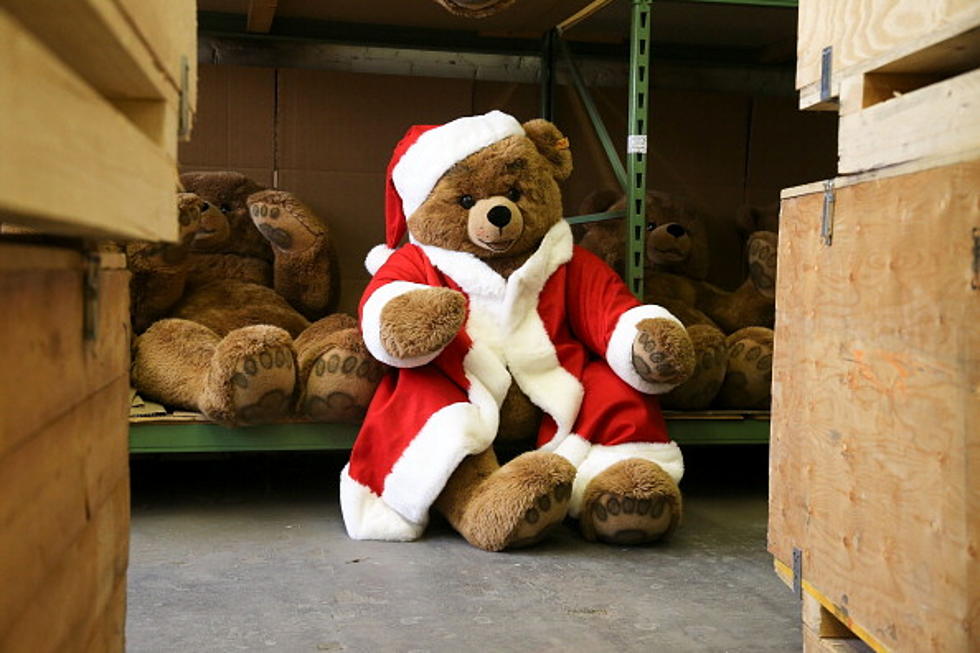 Teddy Bear Toss Night With the Binghamton Devils