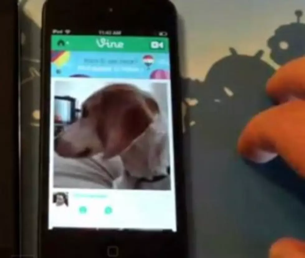 Vine App Is Now Available For Android Phones