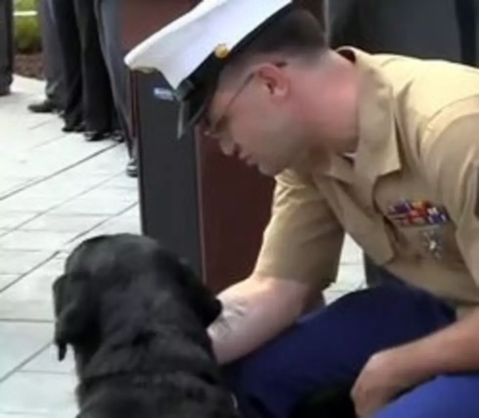 Injured Rochester Marine Reunited With Life Saving Dog [VIDEO]