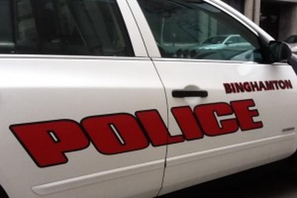 Bed Bugs Found In Binghamton Police Cars