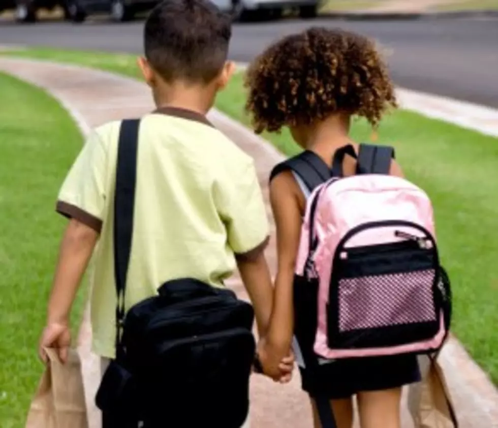 Buy a Backpack, Help a Child in Tioga County