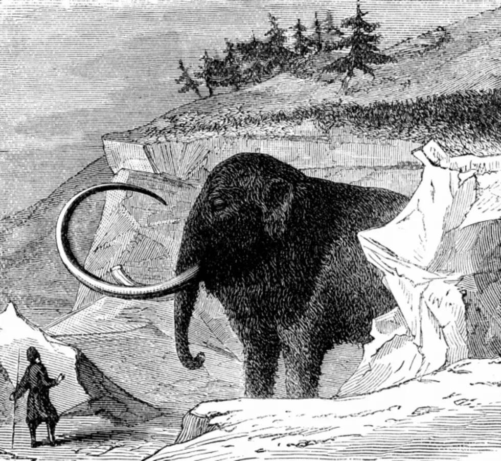 Science Might Bring Back Woolly Mammoths Through Cloning