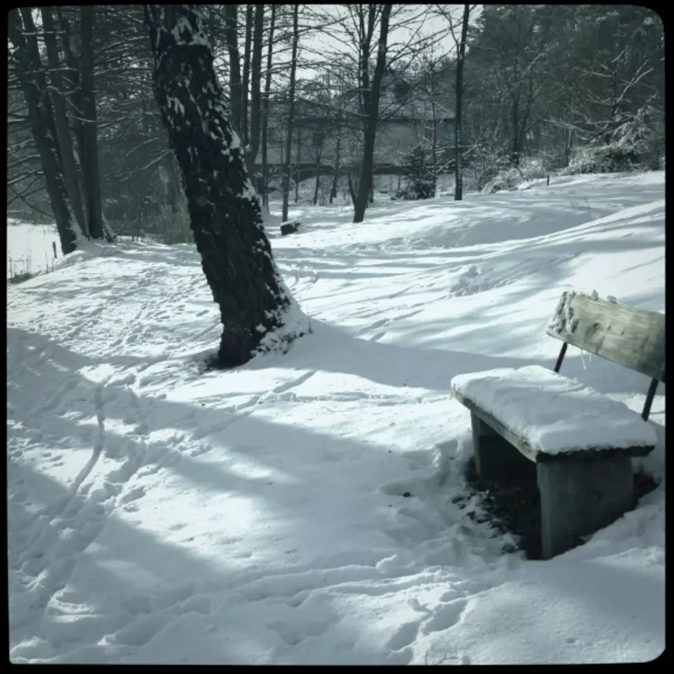 Strangers Shovel Snow So Elderly Man Can Visit Wife&#8217;s Memorial