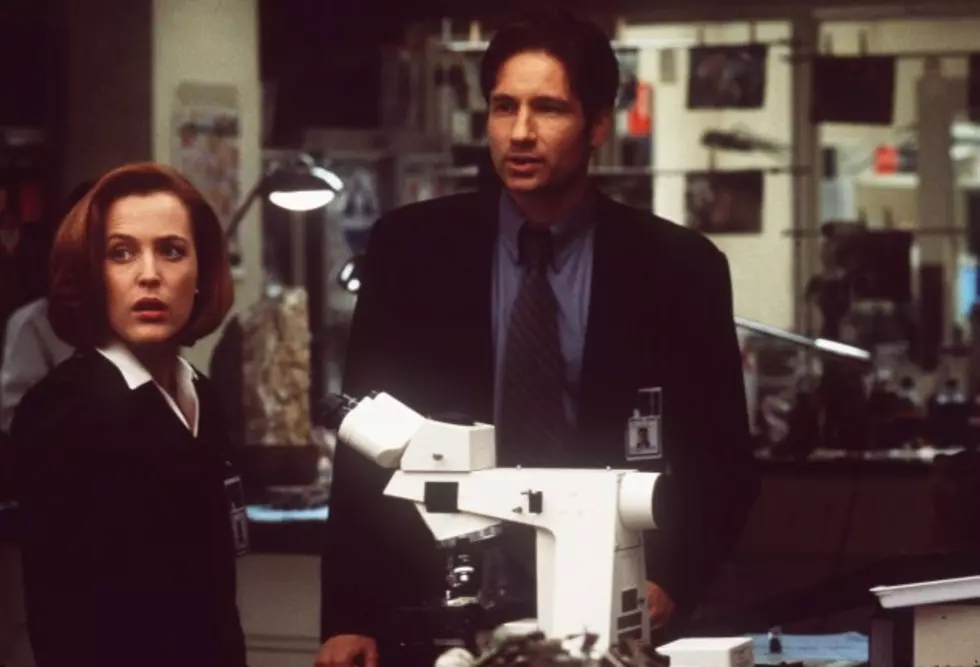 Fox Is Re-Launching X-Files With David Duchovny and Gillian Anderson