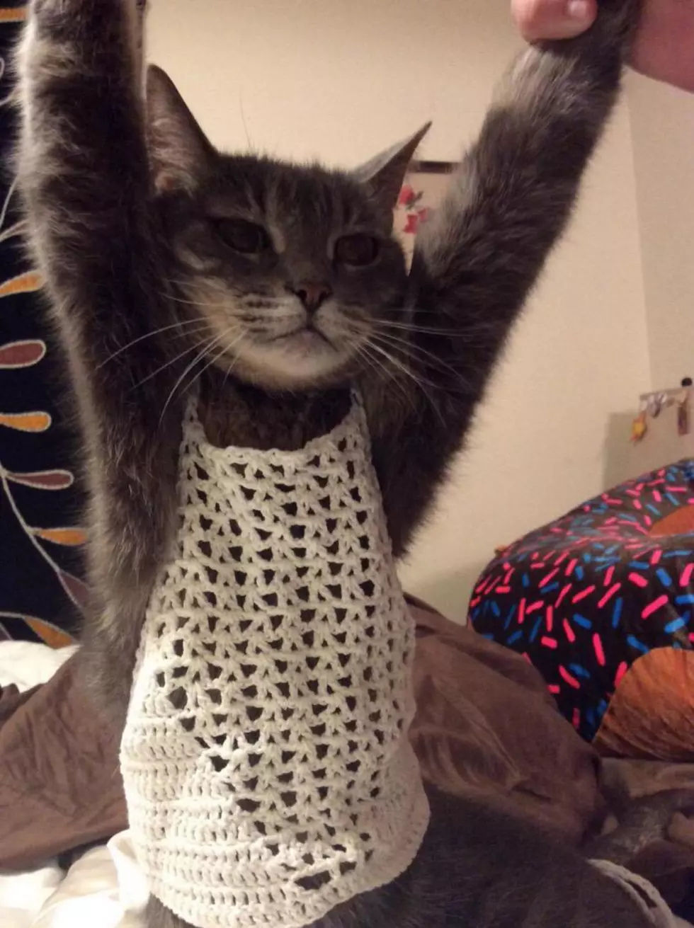 Mom Reviews Daughter’s Crop Top With Help From Cat