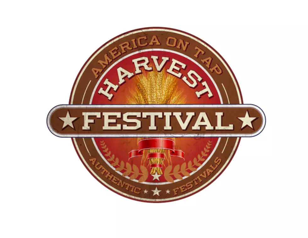 Binghamton Harvest Festival Is This Weekend!