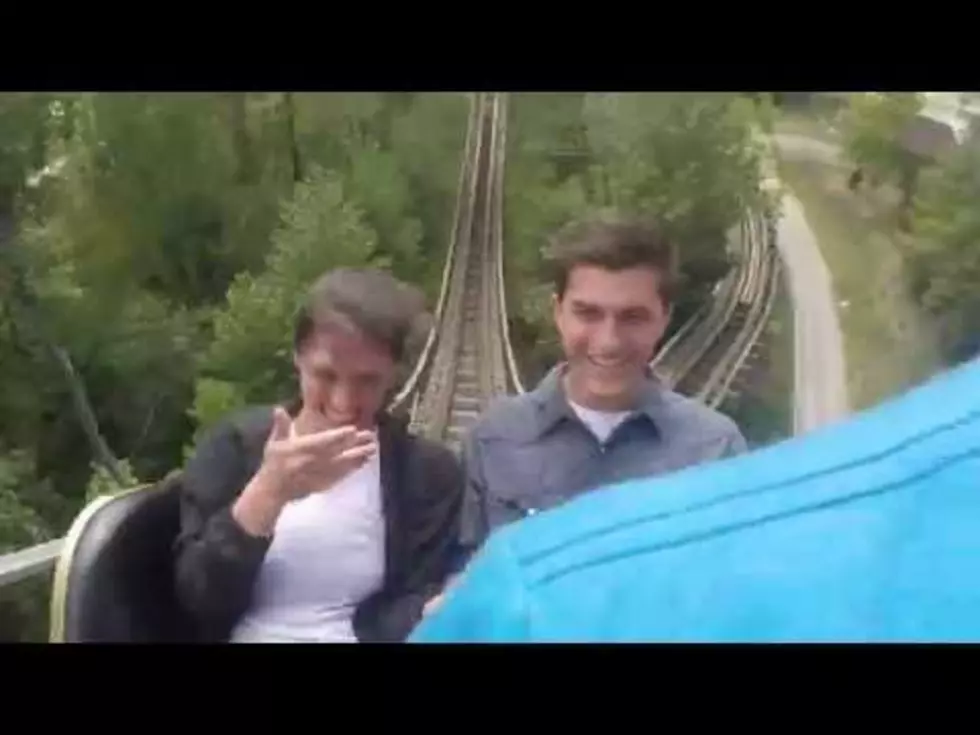 Roller Coaster Marriage Proposal [WATCH]
