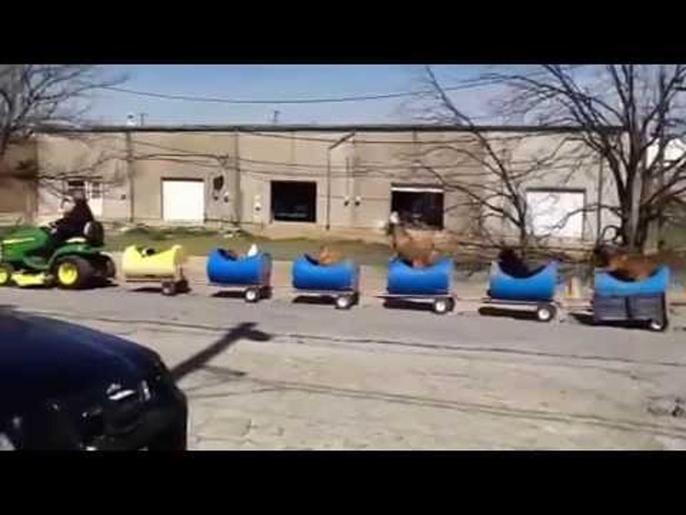 Man Builds ‘Dog Train’ to Bring Happiness to Rescues [WATCH]