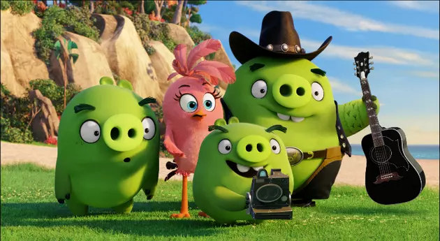 Blake Shelton to Play Earl The Pig in &#8216;Angry Birds&#8217;