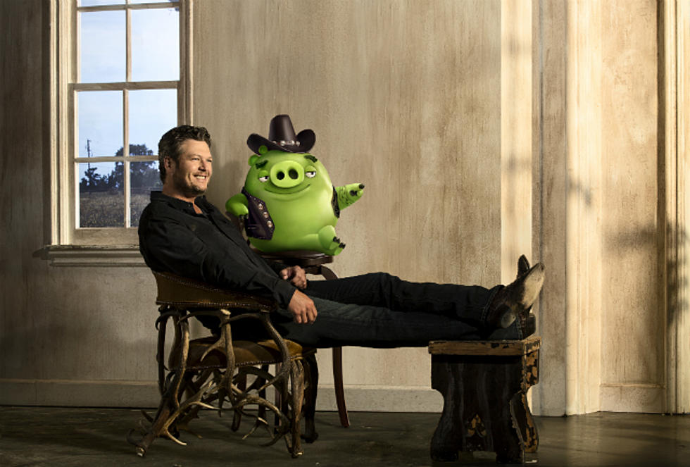 Blake Shelton to Play Earl The Pig in ‘Angry Birds’