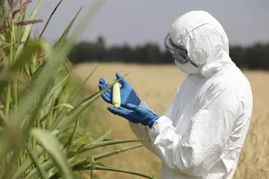 GMO: The Unknown in Our Food Supply