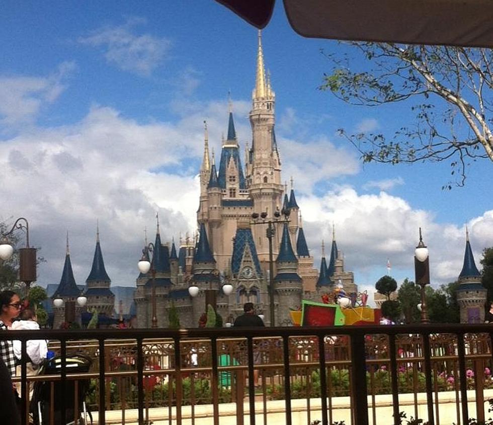 Woman Finds a 22-Year-Old Disney Ticket