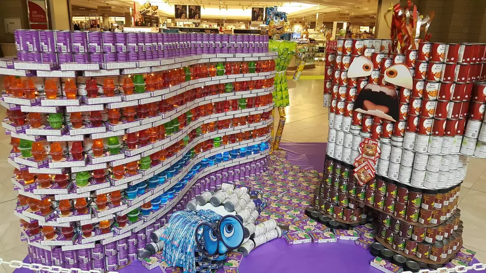 Canstruction of the Southern Tier Helps to Raise Hunger Awareness