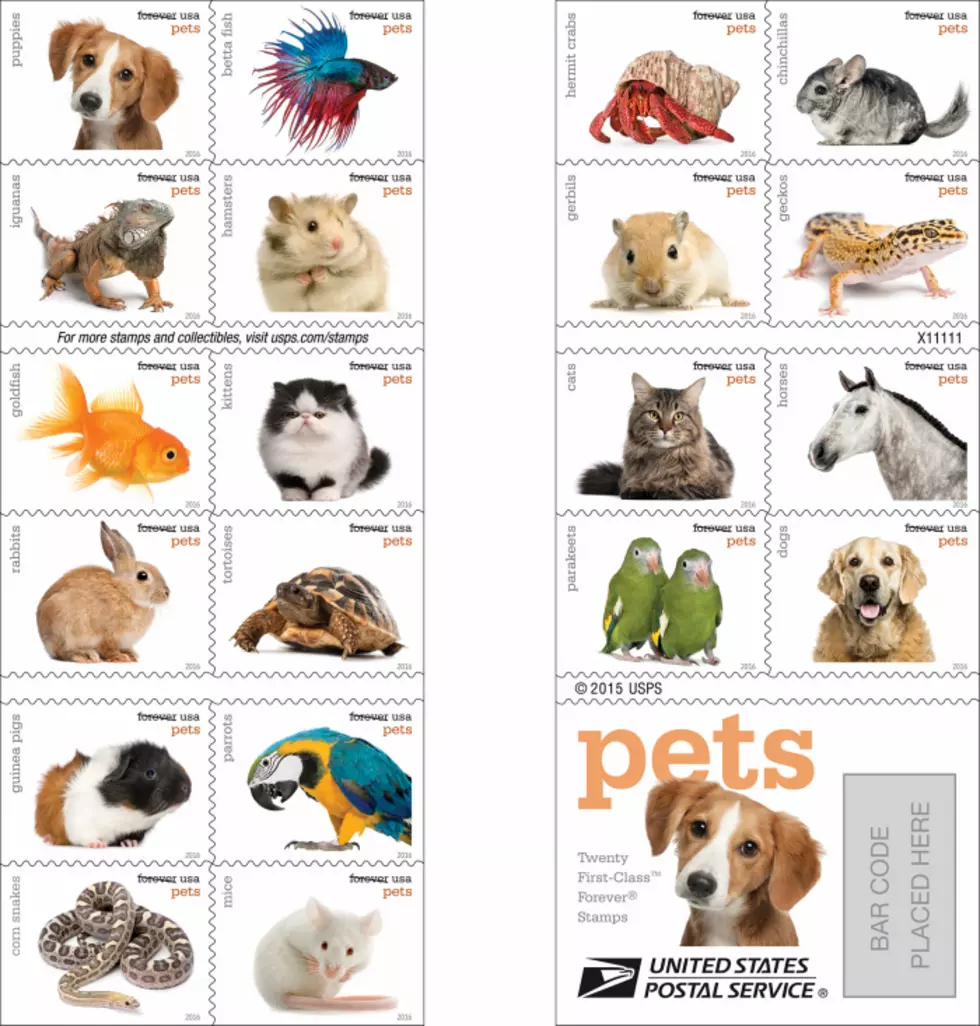 New Pet Stamps Coming to Binghamton Area Post Offices