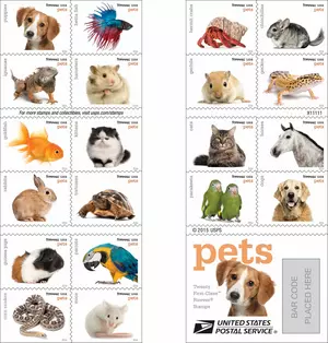 New Pet Stamps Coming to Binghamton Area Post Offices