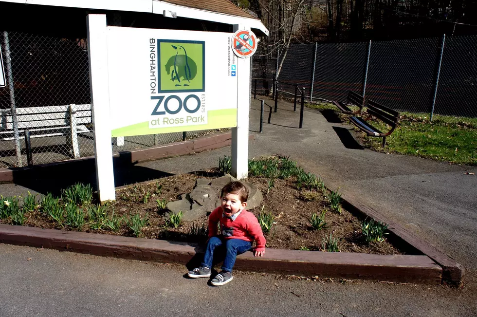 Ross Park Zoo Updates Mask Policy in Light of Broome County’s “Substantial” Spread Status