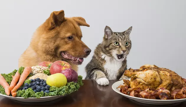 Toxic Foods That Could Kill Your Dog or Cat