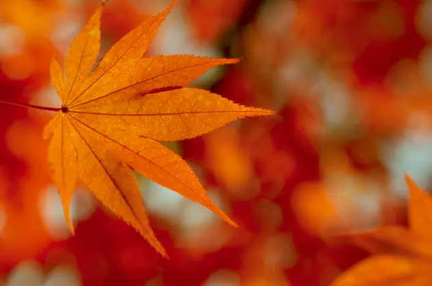 5 Things You Should Do Now to Prepare for Fall