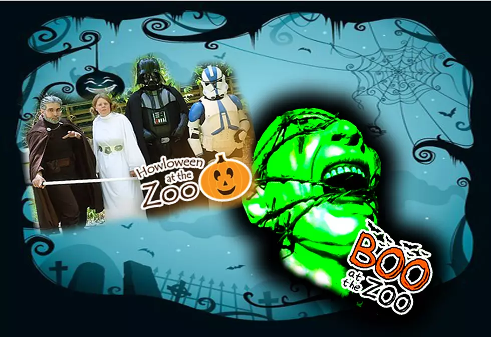 Howloween and Boo at the Zoo Return!