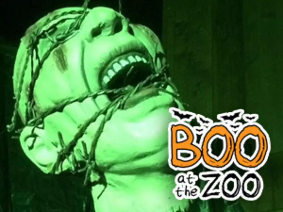 Boo at the Zoo is Back For the Next Two Weekends