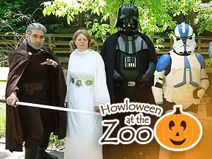 Final Weekend For &#8216;Howloween&#8217; at the Binghamton Zoo