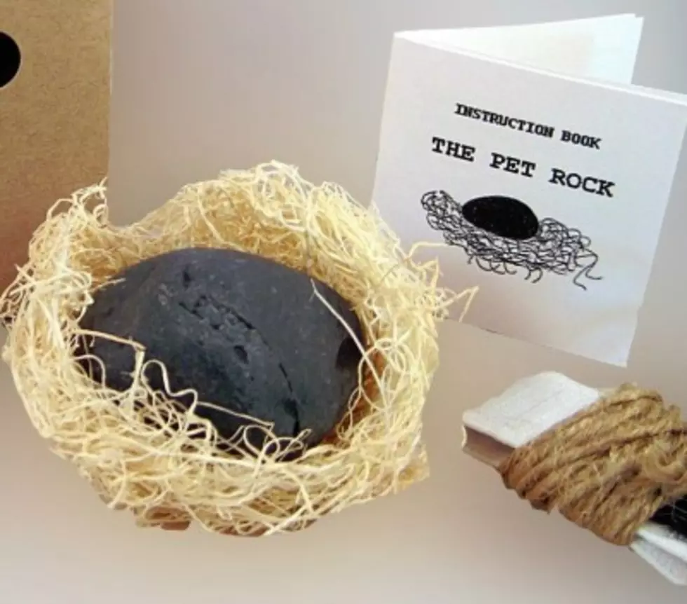 Throwback Thursday – The Pet Rock