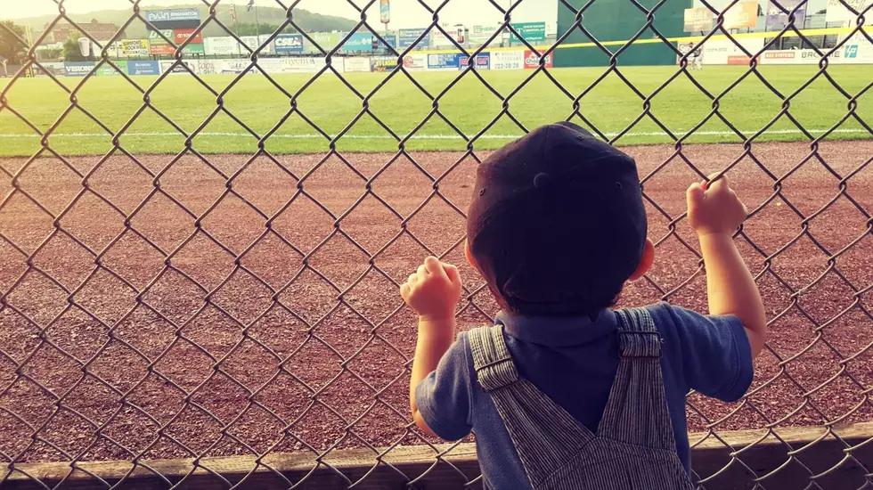 Binghamton Rumble Ponies Season Postponed Until ?