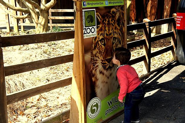 Binghamton Zoo Summer Zoo School Schedule