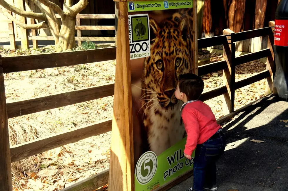 Ross Park Zoo Helps To Give Hope A Home