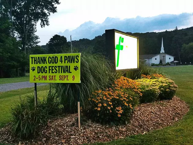 &#8216;Thank God 4 Paws&#8217; Dog Festival and Adoption