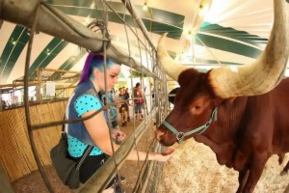 Beef Day at the Great New York State Fair