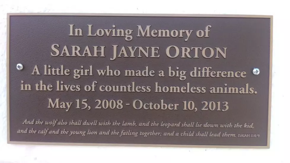 Sarah Jayne Orton Memorial Foundation
