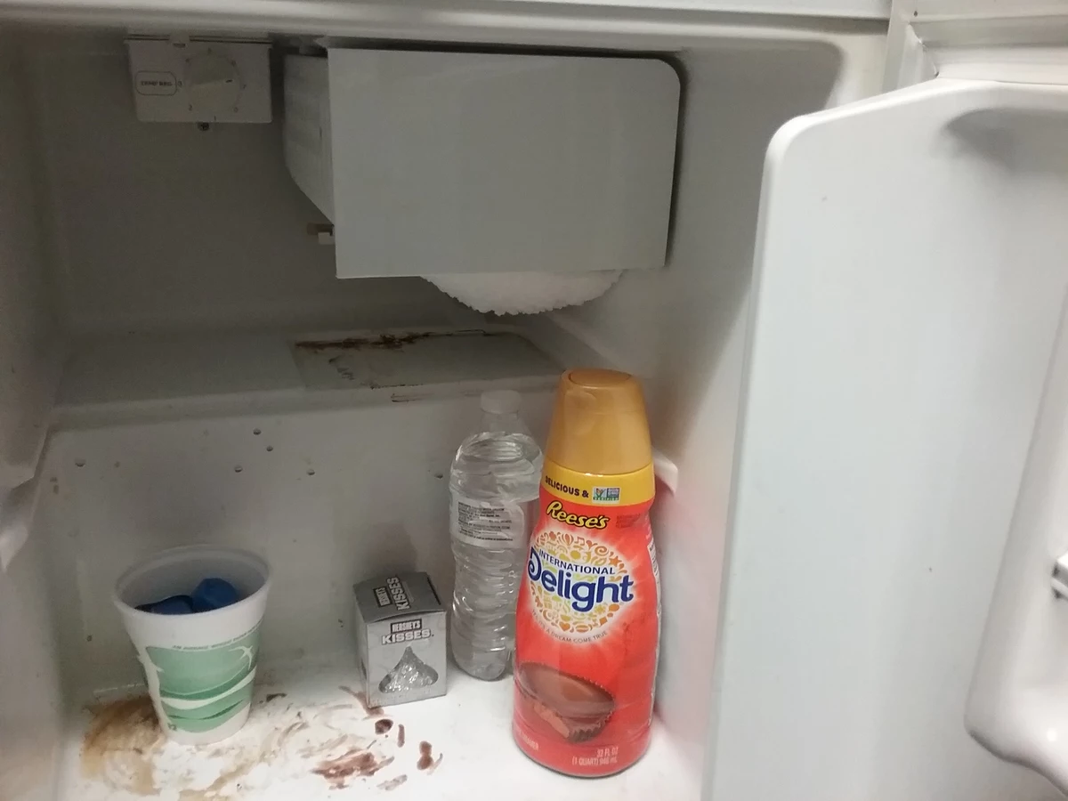 It's a Good Weekend To Clean Your Refrigerator & Save Money
