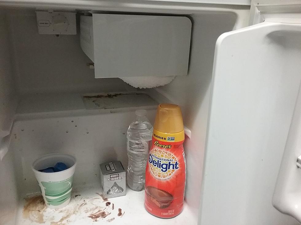 Here’s How You Can Save Money While Cleaning Out Your Refrigerator