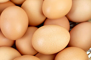Salmonella Outbreak that Prompted Massive Egg Recall Affects NY and PA