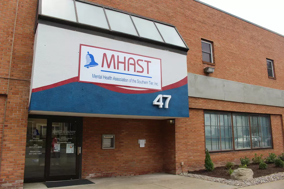 Public Invited to MHAST Virtual Annual Meeting at Noon