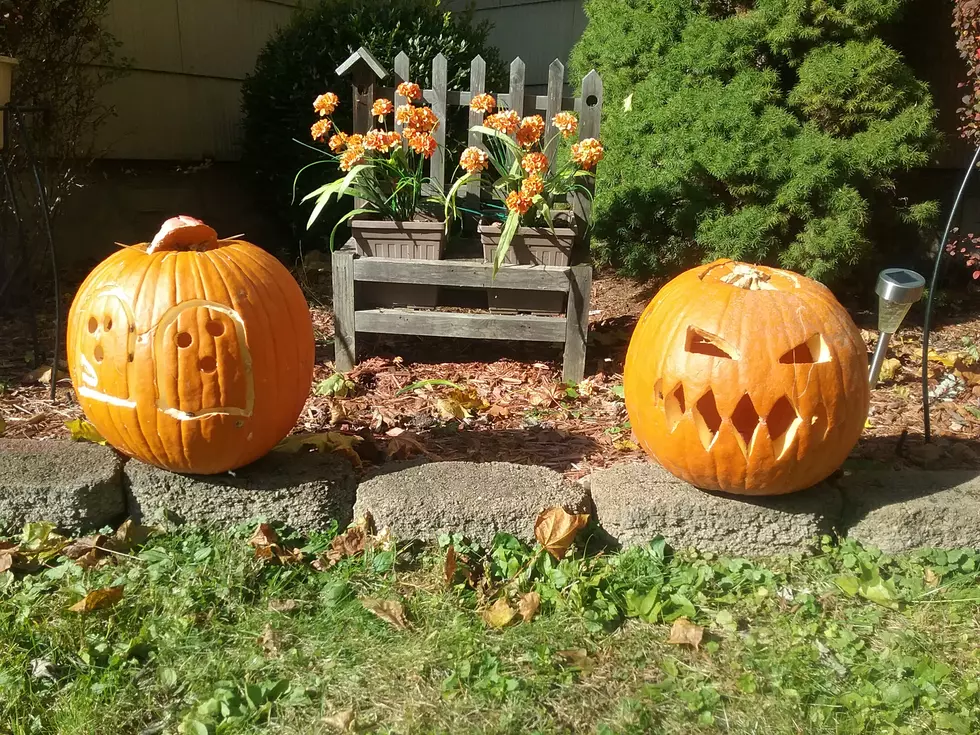 Pumpkin Day Jokes and Trivia