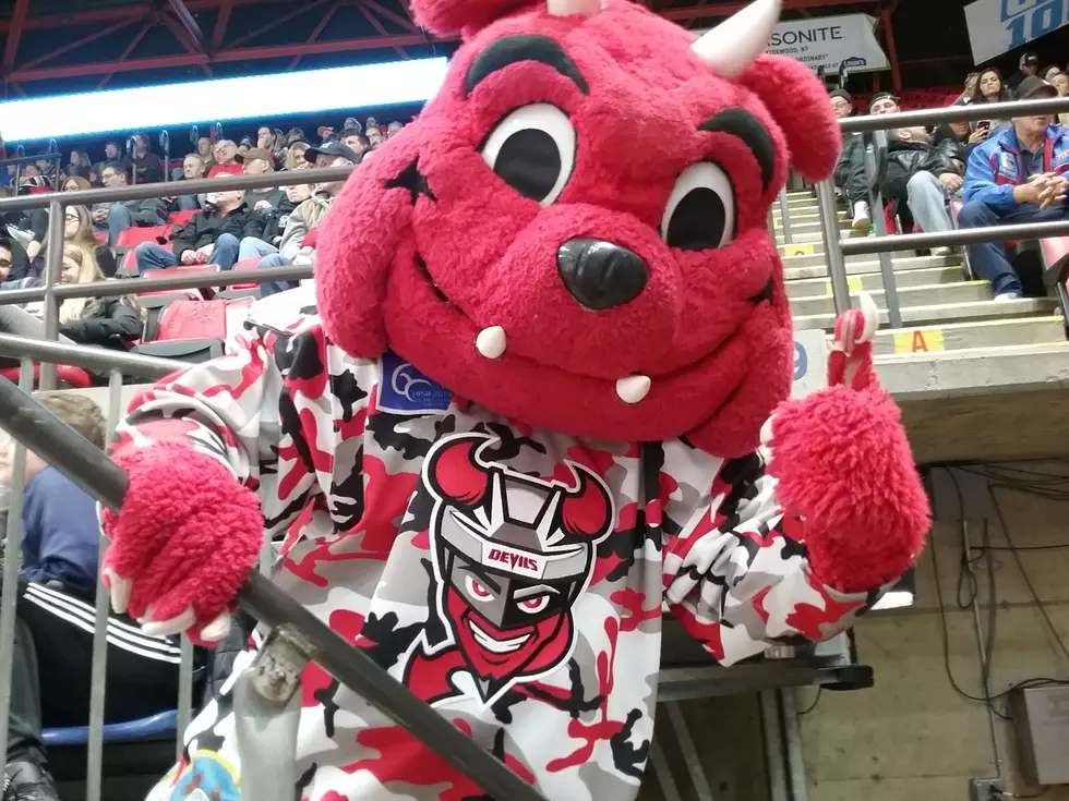 Binghamton Devils Fans Help Donate Food to CHOW