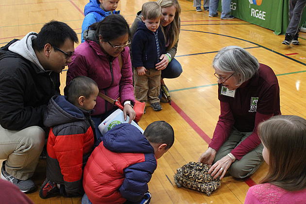 Volunteer Open House at Binghamton Zoo This Weekend