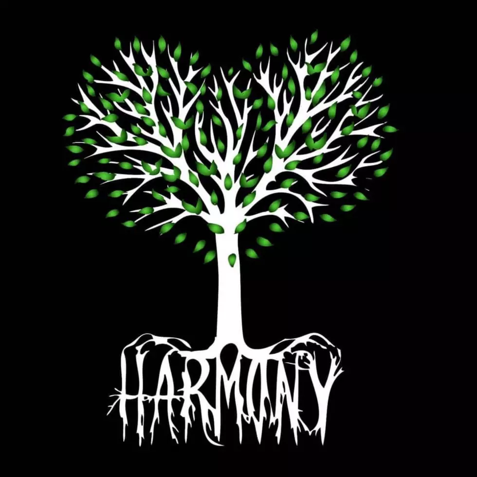 Harmony Memorial - Healing Hurt Hearts