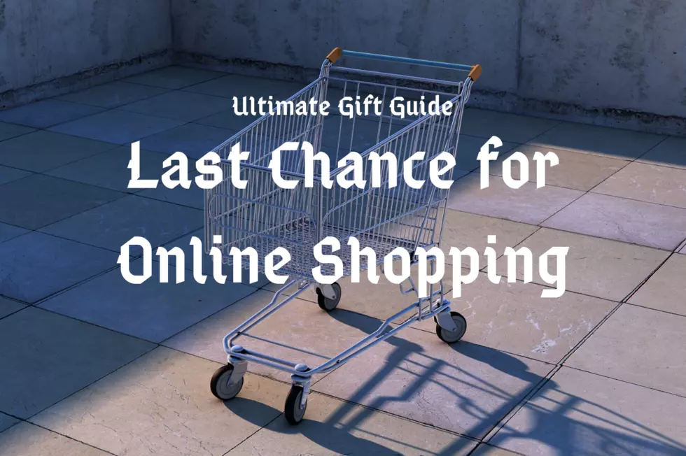 Last Chance for Online Shopping – Ultimate Holiday Gift Guide