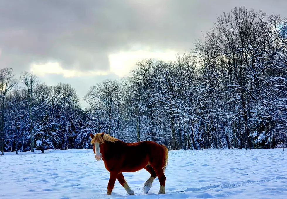 Broome County Hosts Photography Contest