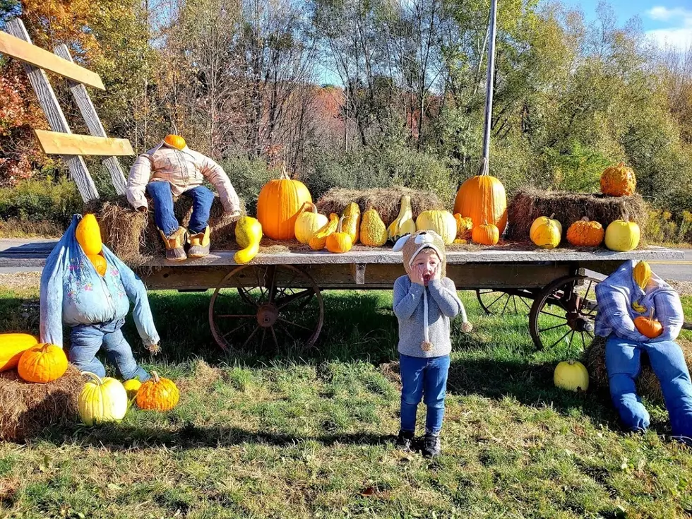 10 Places to Purchase a Pumpkin in the Southern Tier [GALLERY]