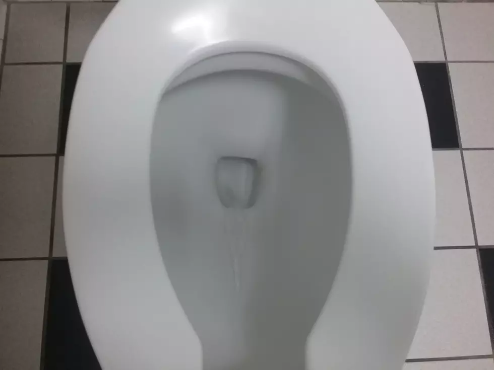 This Is Why You Don't Want to Waste Toilet Water