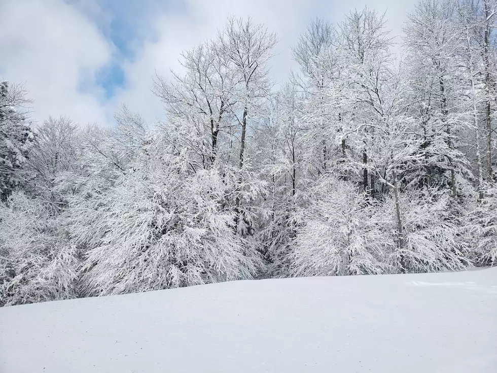 First Major Winter Storm of 2021 Has Officially Arrived in the Southern Tier